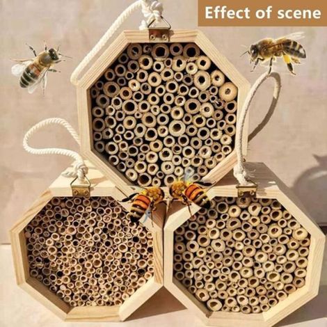 Hôtel à insectes, hôtel à insectes, abri d'hôtel à insectes en bois naturel fournitures de décoration, abeilles, coccinelles, papi (1/4)