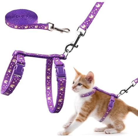 Harnais et Laisse pour Chat - Ensemble Réglable avec Motif Lune et Étoile pour Sorties en Sécurité (1/5)