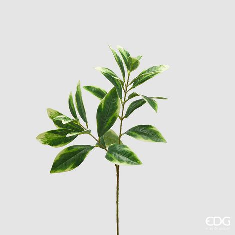 EDG Enzo De Gasperi Ligustro Ramo H 73 Cm Pianta Artificiale Giallo Verde
