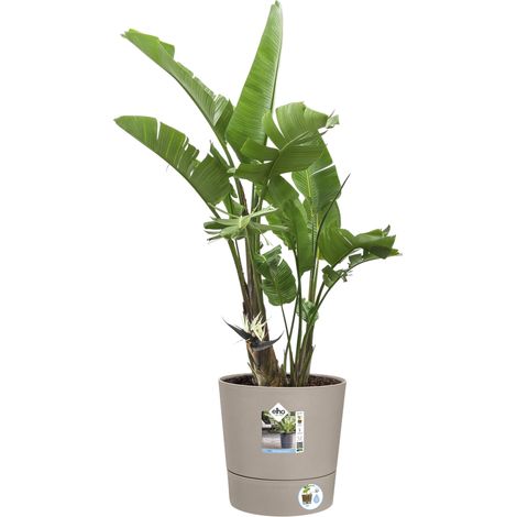 Elho Foss Rond 30 - Beige - L 30 x B 29.5 x H 29 cm - extérieur - 100% recyclé (1/2)