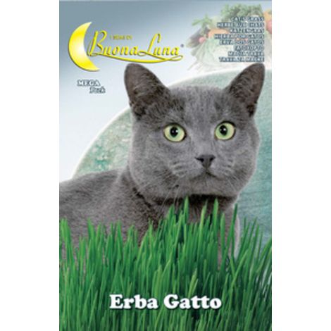 10PZ SEMI ORTO ERBA GATTO (1/2)