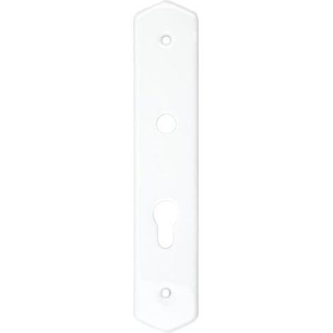 Plaque pour porte en acier inoxydable – Dimensions 255 x 50 x 8 mm – Entraxe de fixation 195 mm – Pour usage professionnel – Merigous