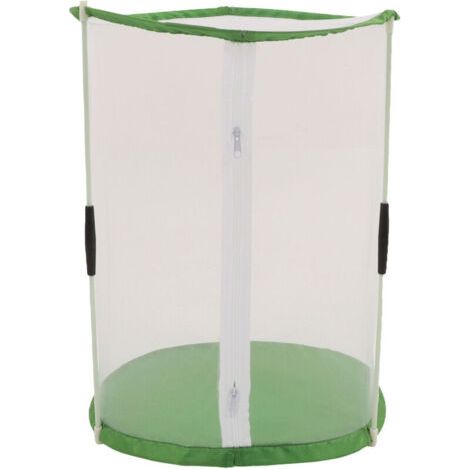 Eosnow Cage cylindrique d'observation des papillons et des insectes, cage d'habitat en maille transparente pour plantes ornementales (1/4)