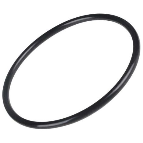 Joint d'Étanchéité pour Tête de Filtre – Compatible CXFHR1001 / RGX45G / Hayward C100S (1/3)