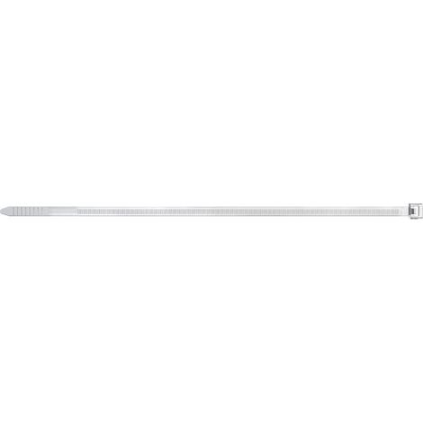 Brida nylon BN 2,5x100mm natural (Pack de 100 unidades) FISCHER