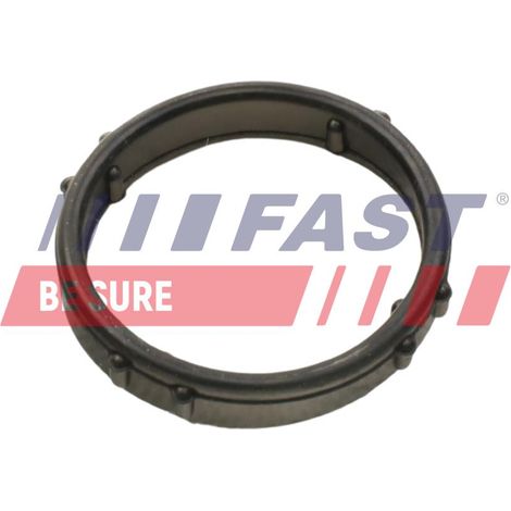 Guarnizione per pompa dell'acqua rapida FT57406 (1/2)