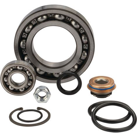 Kit de reparación de bomba de agua MASSEY MF V836340257