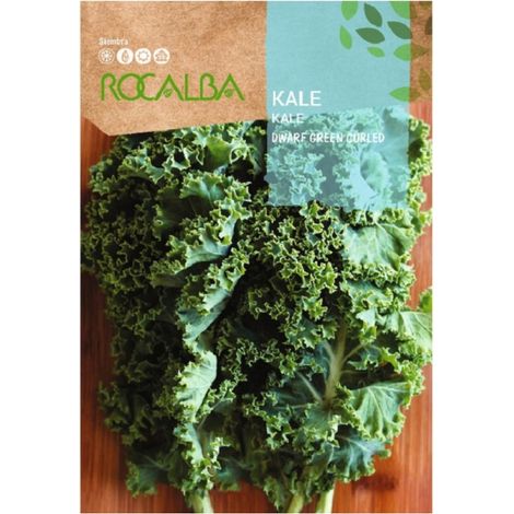 Rokalba Semilla Kale Dwarf Green curled 500 g