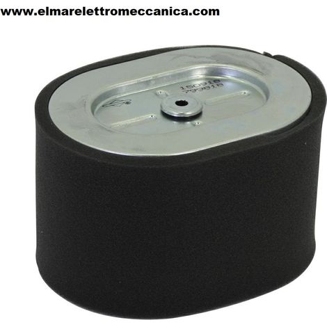 BRIGGS & STRATTON Filtro aria motori orizzontali 25T200. Misure 133x97x90 mm 310301