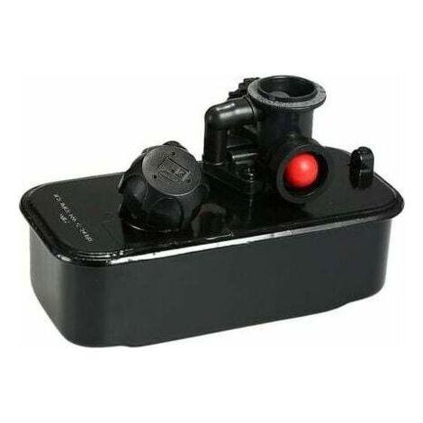 Briggs & Stratton Réservoir de carburant + carburateur 494406 498809 Carburateur (1/5)