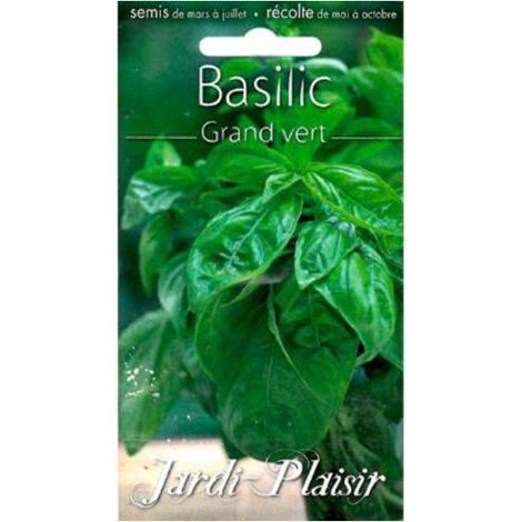 Sachet De Graines Basilic Grand Vert