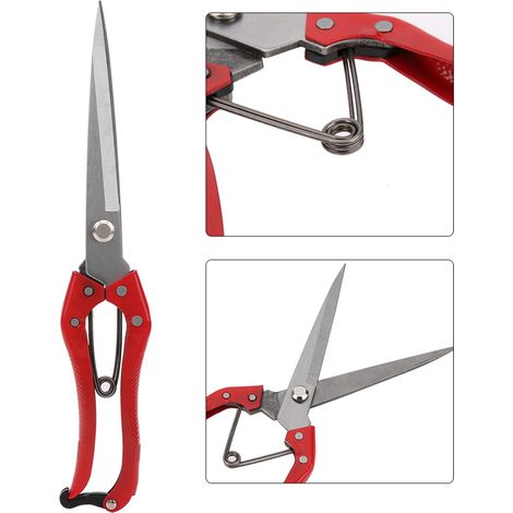 Ciseaux Multifonction Taille-Ciseaux Fer et Acier 29cm - Pour Toison Animaux Cuisine Jardin (1/5)