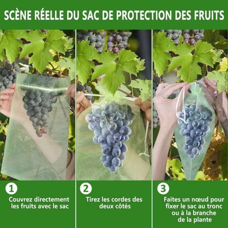 Sac Protection Fruits - 17 x 23 cm - Pour Raisin Jardin - Anti-Guêpe Drosophile Scarabée Oiseau - Organza avec Cordon - Lot de 100 (1/5)
