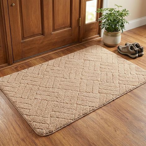 Paillasson Entree Interieur 40x60 cm, Tapis Intérieur Entrée Antidérapant, Souple Fin Tapis de Porte Absorbant– Idéal pour Animaux, Porte d'entrée, Couloir, Cuisine et Salle de Bains, Beige (1/5)