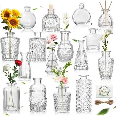Set mit 16 Mini-Glasvasen – Robustes Design im Vintage-Stil – Florale Dekoration für den Innenbereich – Ideal für Hochzeiten und Wohnaccessoires – Kompakt und transparent (1/5)