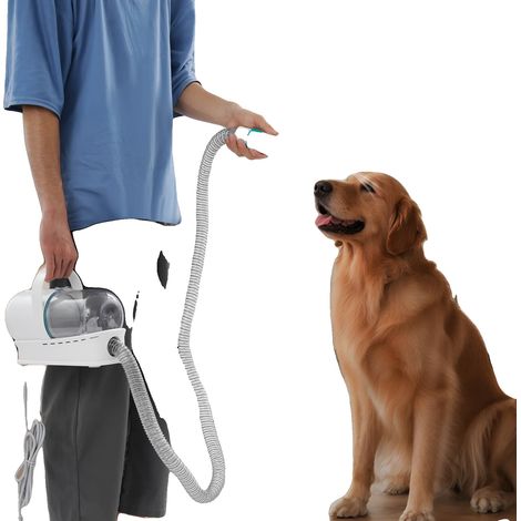 Kit de toilettage pour animaux, moteur de 400W, puissance d'aspiration de 13 000Pa, collecteur de poussière de 0,33 gallon, compatible avec les chiens et les chats (1/5)