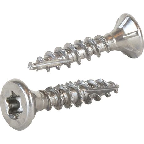 Vis aggloméré - Radix - Torx 20 - RVS - 4.0 x 20 mm (200 pièces) (1/2)
