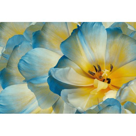 Papier peint panoramique - Fleurs - 130 cm x 88 cm (1/2)