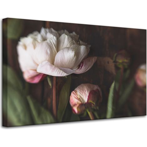 Lienzo impreso Botánica Flor Peonías 80x50 cm Ramo de flores Flora