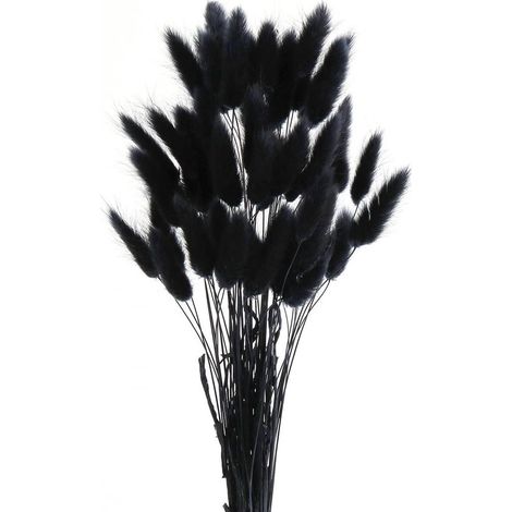 Herbe de la pampa décorative séchée noire (50 pièces) pour salon et mariage - Fleurs bohèmes et décoration de table - Décoration rustique pour fête champêtre - Non spécifié (1/5)