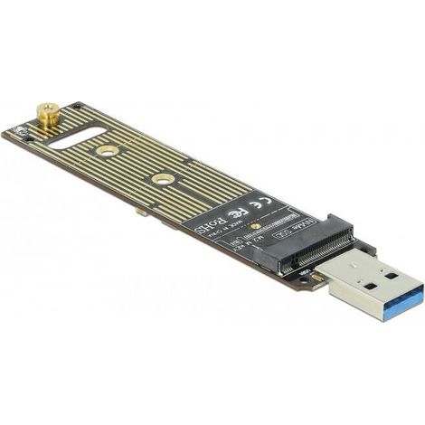 Delock Convertidor para M.2 NVMe PCIe SSD con USB (1/4)