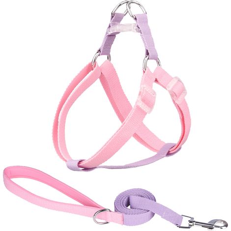 Harnais Pour Chien - Matériau Plongeant Doux - Design Triangle Anti-Choc - Anneau Alliage Épais - Taille Réglable