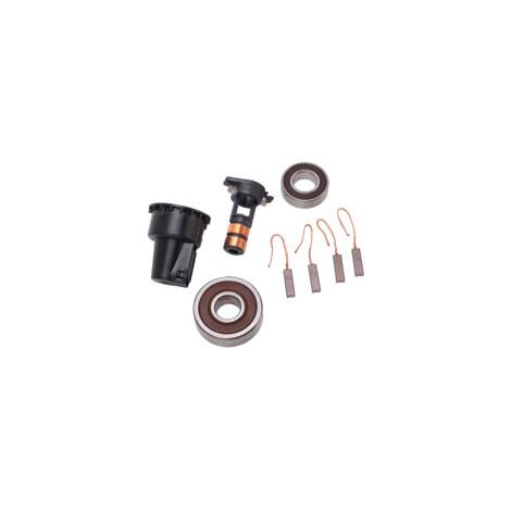 Kit de réparation d'alternateur, jeu de roulements de brosses à bague collectrice 230090 de remplacement pour Bosch 0124515010.