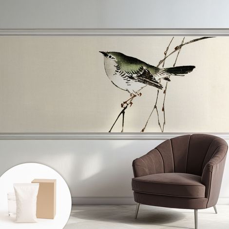 Papier peint avec colle pour décoration moderne de salon chambre à coucher cuisine et bureau Facile L'oiseau harmonieux 250x104 cm (1/5)