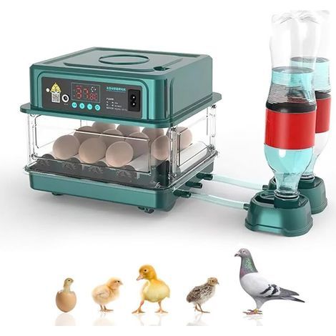 Automatic Egg Incubator with Humidity Monitoring, Automatic Egg Turning, Automatic Water Addition and Egg Lighting, for Hatching Chicken, Duck, and Quail Eggs (12 Eggs) (1/5)