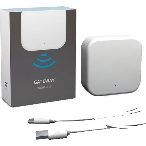 Serrure de porte électronique, Bluetooth 4.0, Wi-Fi, alimentation 220V, dimensions L60 H138 P12 mm, certifié CE (1/5)