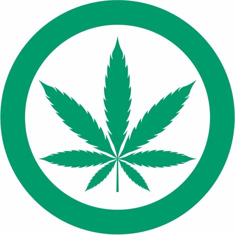 Metafranc Hinweisschild Cannabis erlaubt 15 x 15 cm