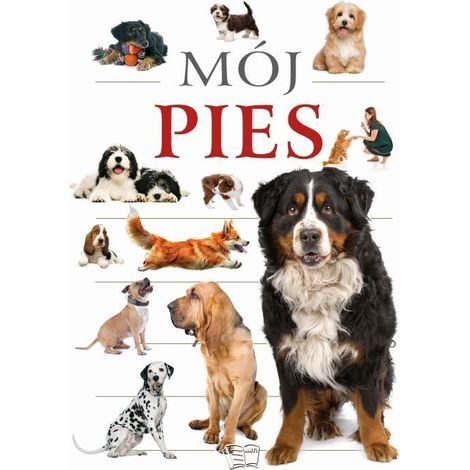 Il mio cane
