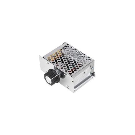 Moteur entraîné par 220V, régulateur de tension alternatif de 4000W, alimentation 220V, variateur de vitesse pour moteur, régulateur de vitesse pour moteur électrique