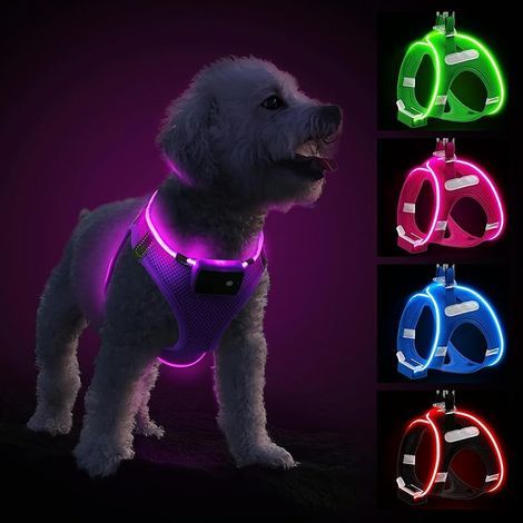 Harnais Lumineux Rechargeable LED pour Chien, Clignotant Réfléchissant Confortable, Petit Moyen Chiot, Violet-XS (1/5)