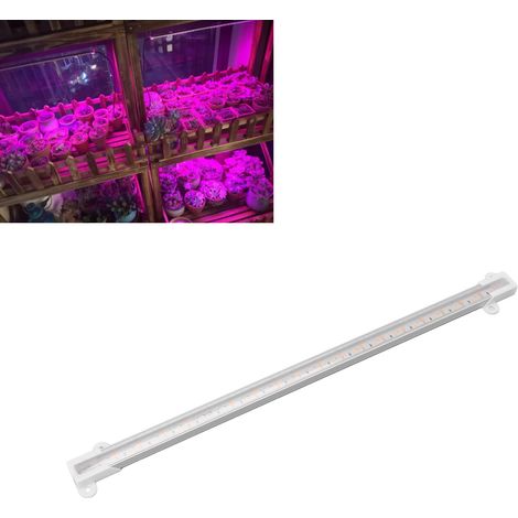 10W Solar-Pflanzenleuchte (1/5)