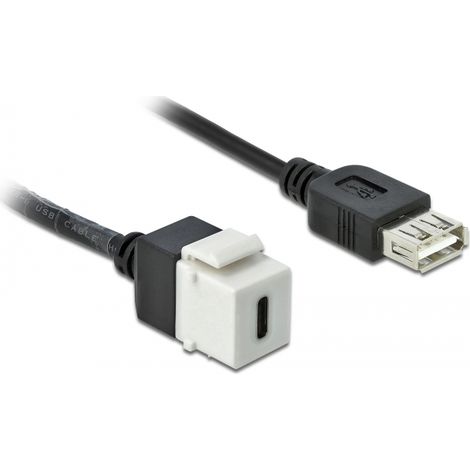 Delock MÃ³dulo Keystone USB 2.0 C hembra  USB 2.0 A hembra con cable