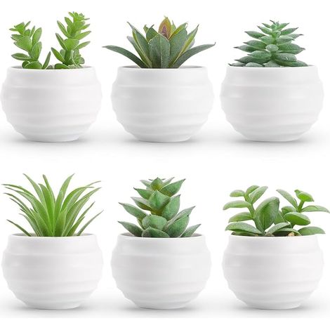 Plantes succulentes artificielles en Pots pour Chambre à Coucher, Salon, étagère, Salle de Bain, décoration de Bureau, Accessoires de Bureau (1/5)