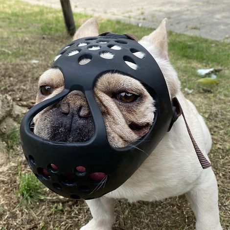 Muselière souple en silicone pour chiens à museau court, adaptée aux races à face plate (bouledogue français, shih tzu, carlin) - Empêche les morsures, les mâchonnements et les léchages pendant le toi
