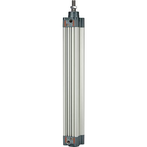 Riegler Normzylinder, doppeltwirkend, Magnet, Kolben-Ø 32, Hub 800, G 1/8 (1/3)