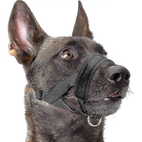 Muselière souple en nylon pour chien, anti-morsure, anti-aboiement, anti-mâchouillage, anneau réglable (XL, noir) - Bon (1/5)