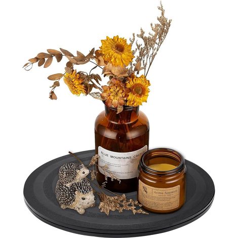 Lazy Susan Support pivotant à 360° pour modélisme, plantes en pot, TV, écrans, peintures artisanales 20 cm (1/5)