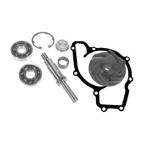 Kit reparaci贸n bomba agua VAPORMATIC VPE2030