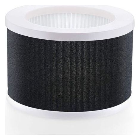 Pair Lntyq Filtre de remplacement True HEPA EPI810, compatible uniquement avec l'ancienne version MEGAWISE (non compatible avec la version mise à jour 2022), purificateur d'air True HEPA KOIOS et MOOK (1/5)