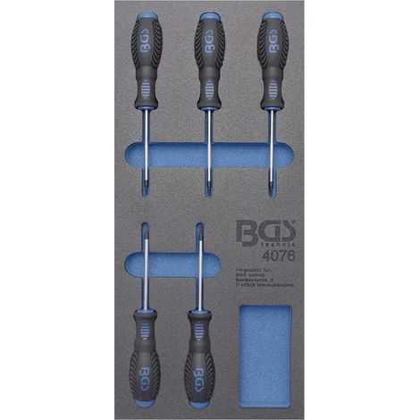 Insert de servante d'atelier 1/3 : Tournevis profil T (pour Torx) 5 pièces (1/2)