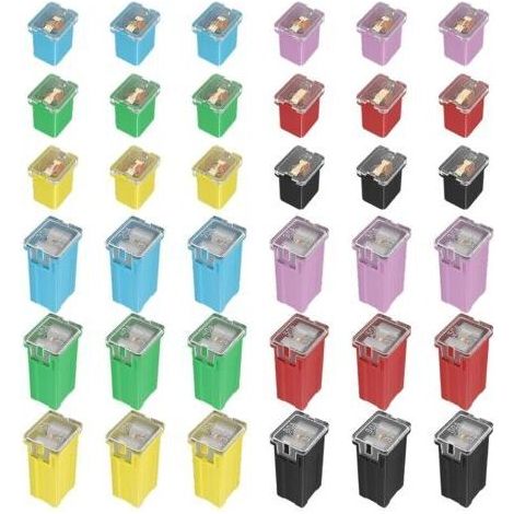 BARKBUSTERS Assortiment de 36 fusibles pour automobiles, standard et bas profil (20 A, 30 A, 40 A, 50 A, 60 A, 80 A) pour camionnettes Ford, Chevrolet, GM, Nissan et Toyota, voitures, SUV