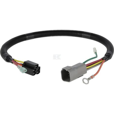 Faisceau de câble BRIGGS & STRATTON 846776