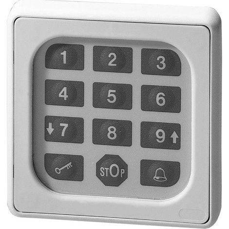 SOMFY 9000028 CLAVIER À CODE POUR PORTE DE GARAGE (1/2)