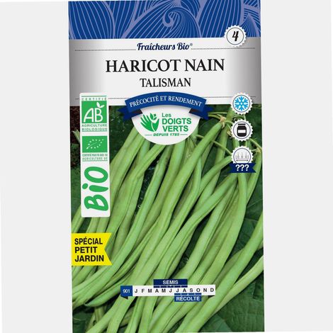 Graines haricot nain talisman BIO Les Doigts Verts 30g