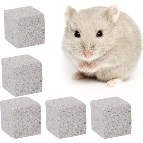 Lot de 6 Pierres Minérales à Mâcher pour Hamster et Rat, Blocs de Lave 5 Cm en Pierre Naturelle pour Dents, Prévient Le Grincement et Apporte Calcium (1/5)