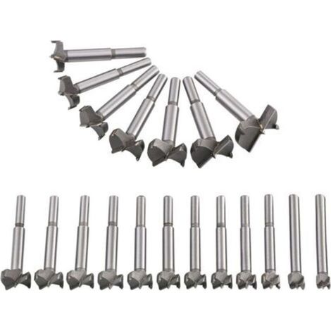 Mèches Bois 19PCS (10MM - 40MM) Fraise Carbure, L'installation de Portes Sphériques, Tiroirs, Mèches à Façonner Foret pour Faire Des Trous Propres à Fond Plat Dans Le Bois (1/5)